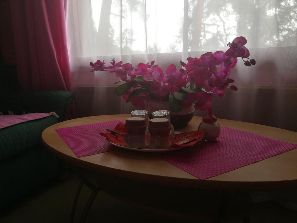 Hotel Villa Vanessa Силтакюла Экстерьер фото